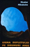 Cumpara ieftin Urma sufletului pe drumuri arse - 2004 - Niculae Mihalache (BB68)