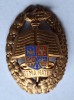 ALMA MATER - Academia Militara - insigna ofiteri