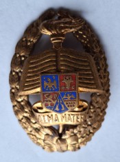 ALMA MATER - Academia Militara - insigna ofiteri