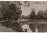 CPIB 15714 CARTE POSTALA - PITESTI. VEDERE DIN PARCUL VASILE ROAITA, RPR, Circulata, Fotografie