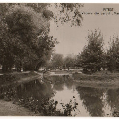 CPIB 15714 CARTE POSTALA - PITESTI. VEDERE DIN PARCUL VASILE ROAITA, RPR