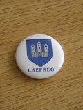 QW9 N2 3 - insigna - militar - unitate militara Republica Ceha - CSEPREG, Europa