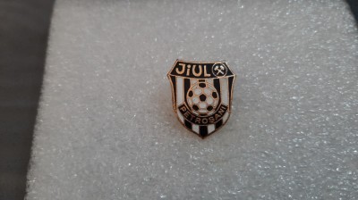 Insigna Jiul foto