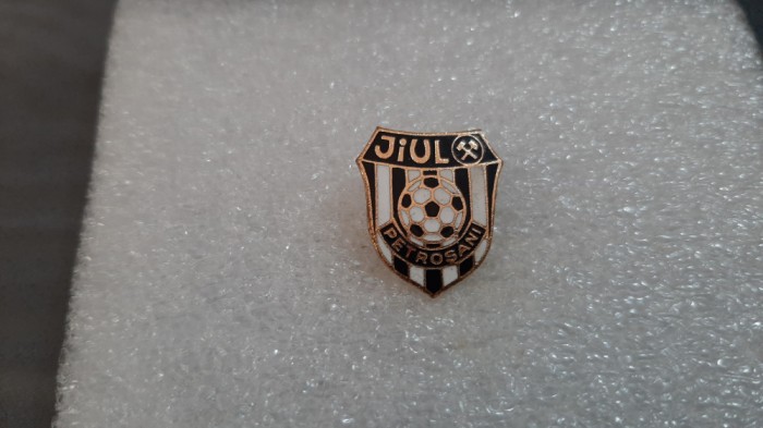 Insigna Jiul