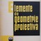 Elemente de geometrie proiectiva - N. Mihaileanu