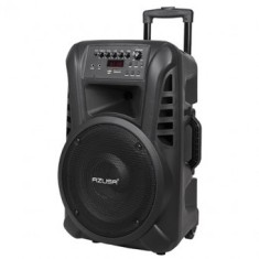 Sistem audio portabil sd bluetooth usb 12 inch 20w