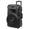 Sistem audio portabil sd bluetooth usb 12 inch 20w