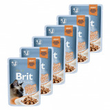 Pliculeț BRIT Premium Cat Delicate Fillets in Gravy with Turkey 6 x 85 g