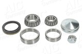 Set rulment roata FIAT DUCATO bus (230_) (1994 - 2005) AIC 73069