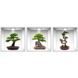 Sticker Bonsai 3D - Nise Perete