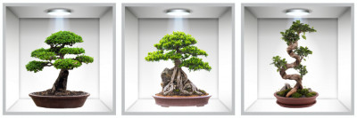 Sticker Bonsai 3D - Nise Perete foto