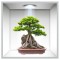 Sticker Bonsai 3D - Nise Perete