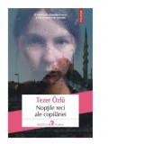Noptile reci ale copilariei - Luminita Munteanu, Tezer Ozlu