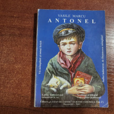 Antonel de Vasile Marcu