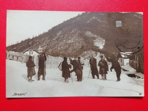 Carte postala Ursari
