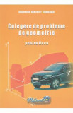 Culegere de probleme de geometrie pentru liceu - Gheorghe Adalbert Schneider