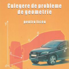 Culegere de probleme de geometrie pentru liceu - Gheorghe Adalbert Schneider