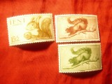 Serie IFNI colonie spaniola 1955 - Fauna - Veverite , 3 valori, Nestampilat