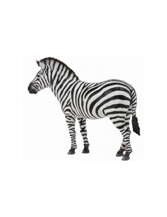 Figurina Zebra - Collecta