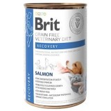 Brit Grain Free Veterinary Diets Dog and Cat Recovery, 400 g