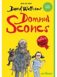 Domnul Sconcs, David Walliams - Editura Art