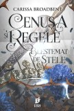 Cenusa si regele blestemat de stele - Storia Books