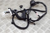 Cablaj ușă dreapta spate TESLA MODEL 3 2020 OEM: 3067966-00-A 14951325