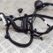 Cablaj ușă dreapta spate TESLA MODEL 3 2020 OEM: 3067966-00-A 14951325