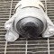 Suport motor dreapta MERCEDES-BENZ GLC X253, C253 2016 OEM: A2052407900 11831645