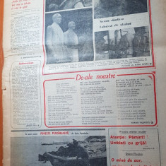 flacara 21 mai 1982-art. si foto radovanu calarasi,cenaclul flacara la mangalia