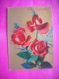 HOPCT 11321 TRANDAFIRI-CP FLORI-ITALIA -EUROPA -NECIRCULATA