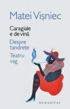 Caragiale e de vină. Despre tandrețe. Teatru vag - Paperback brosat - Matei Vişniec - Humanitas, 2019