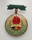 Insigna - Pionier de frunte