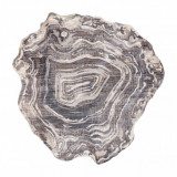 Covor TINE 75426B Copac Lemn - formă modernă, neregulată - cremă / gri, 195x195 cm, Asimetric, Polipropilena