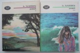 Poezii (2 volume) &ndash; B. Fundoianu