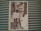 Carte postala din 1931, reprezentand Lupoaica, Cluj, editata de Ilustratia Gherla