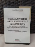 Nicolae Grigorie Lacrita - Majorari, Penalitati, Amenzi, Sesizari Penale, Executare Silita