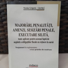 Nicolae Grigorie Lacrita - Majorari, Penalitati, Amenzi, Sesizari Penale, Executare Silita