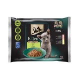 Hrana umeda pentru pisici Sheba, junior, somon si carne de pui, in sos, 4 x 85 g