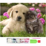 Set de broderie cu diamante 5D, model Pisica si caine, 30x40 cm, accesorii incluse, multicolor, Oem