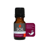 Cumpara ieftin SOiL Ulei Esential Scortisoara, 10ml