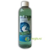 Apa de Gura cu Extracte din Plante 250ml