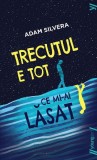 Cumpara ieftin Trecutul e tot ce mi-ai lăsat - Paperback brosat - Adam Silvera - Young Art