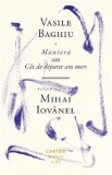 Maniera sau Cat de departe am mers - Vasile Baghiu