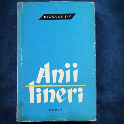 ANII TINERI - NICOLAE TIC - ROMAN foto