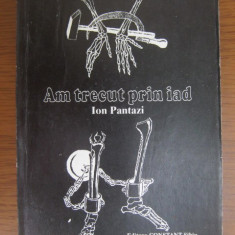 Ion Pantazi - Am trecut prin iad (1992)