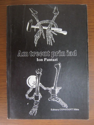 Ion Pantazi - Am trecut prin iad (1992) foto