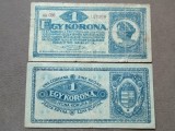 Ungaria 1920 - 1 korona, circulata