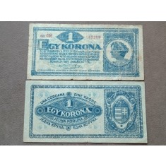 Ungaria 1920 - 1 korona, circulata