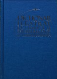 Cumpara ieftin Dictionar ilustrat de cuvinte si sensuri recente in limba romana - 2011 - Elena Danila (AM193)